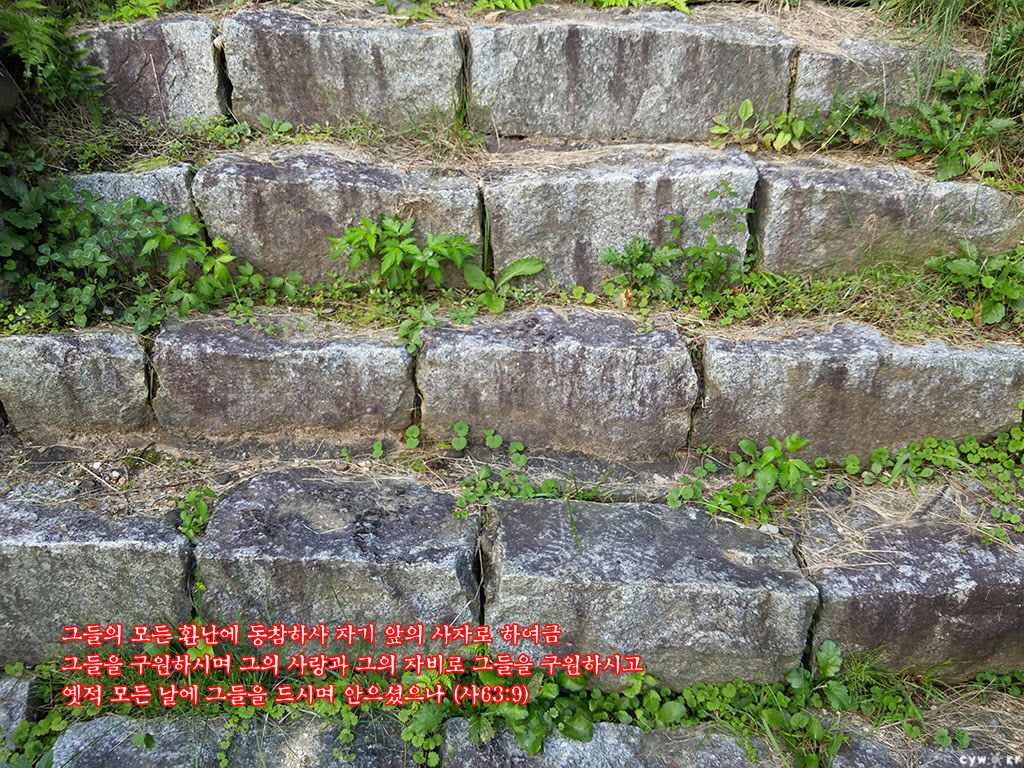 20150909.jpg
