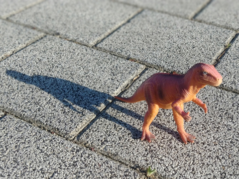 20201007.jpg